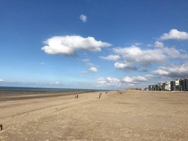 Apartament Koksijde App Zeelaan B3 Zewnętrze zdjęcie